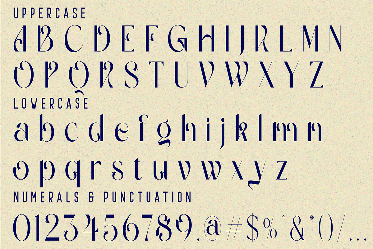 Gradually Reduced Font, a Serif Font by 177Studio (Photo 7 of 7)