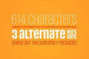 Headlines Unicase Font Family, a Sans Serif Font by TypeThis!Studio (Thumbnail 14 of 26)