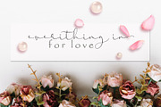 Syakira Scipt, a Script Font by Sulthan Studio (Thumbnail 6 of 8)