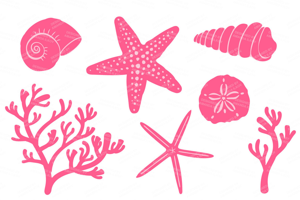 Seashells Clipart in Crayon Box, an Illustration by Amanda Ilkov (Photo 4 of 5)