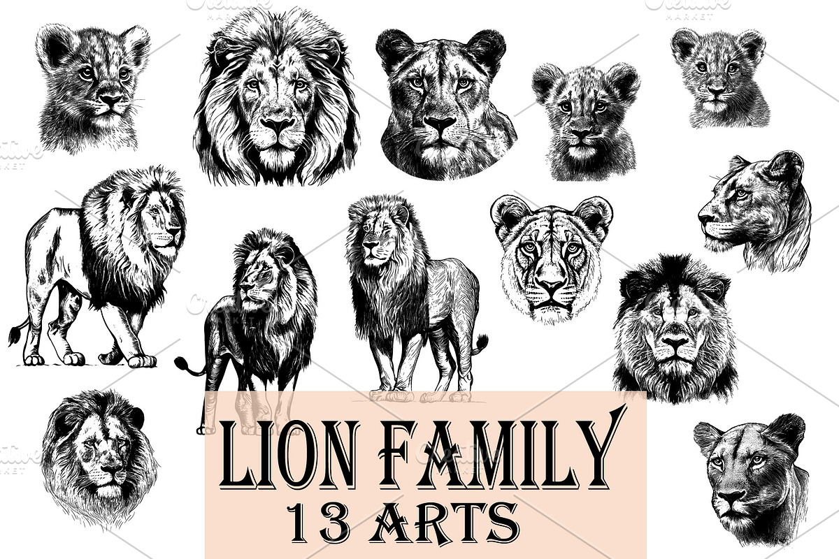 LION FAMILY set, an Animal Illustration by IPVector (Photo 13 of 13)