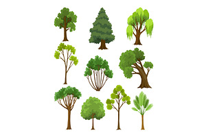 Kind of tree icon set. Various, an Object Illustration by Things for designers