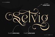 Luxany - Elegant Serif Font, a Serif Font by Inviline.co (Thumbnail 6 of 10)