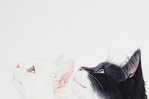 Two adorable cats sitting together, an Animal Illustration by Irina Moskalev