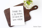 Girly Font Bundle, a Script Font by Affinity Grove (Thumbnail 21 of 25)