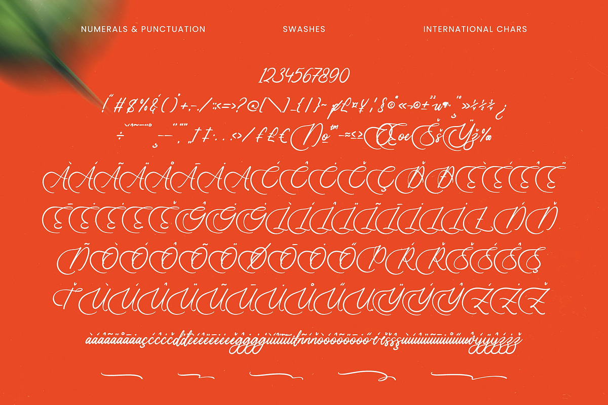 Uniquely Vifanite Bold Calligraphy, a Script Font by Letterena Studios Script (Photo 16 of 20)