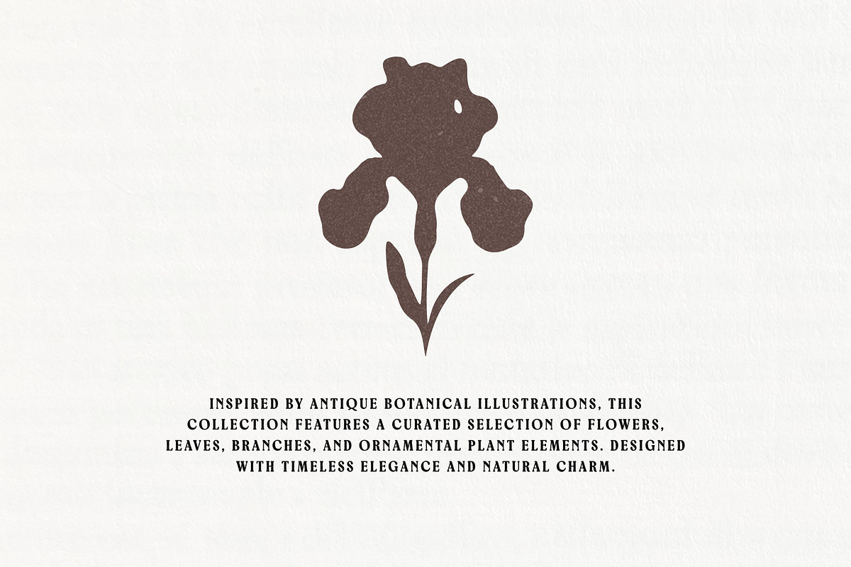 Floral Series Bundle: All 5 in 1, an Object Illustration by Veyla (Photo 35 of 46)