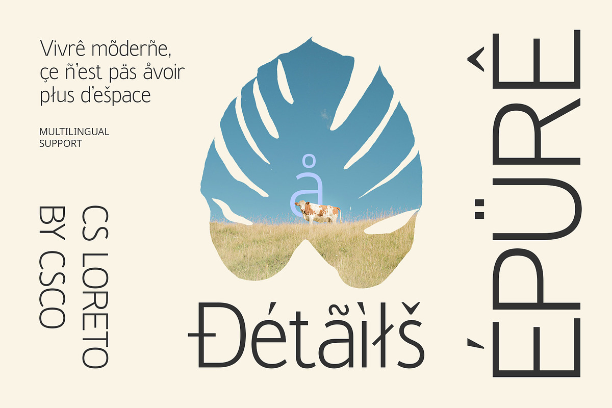CS Loreto – Contemporary Font, a Sans Serif Font by Craft Supply Co. (Photo 4 of 8)