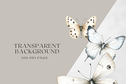 Watercolor White Butterflies, a Decorative Illustration by ThaismotaCreativeCo (Thumbnail 5 of 5)