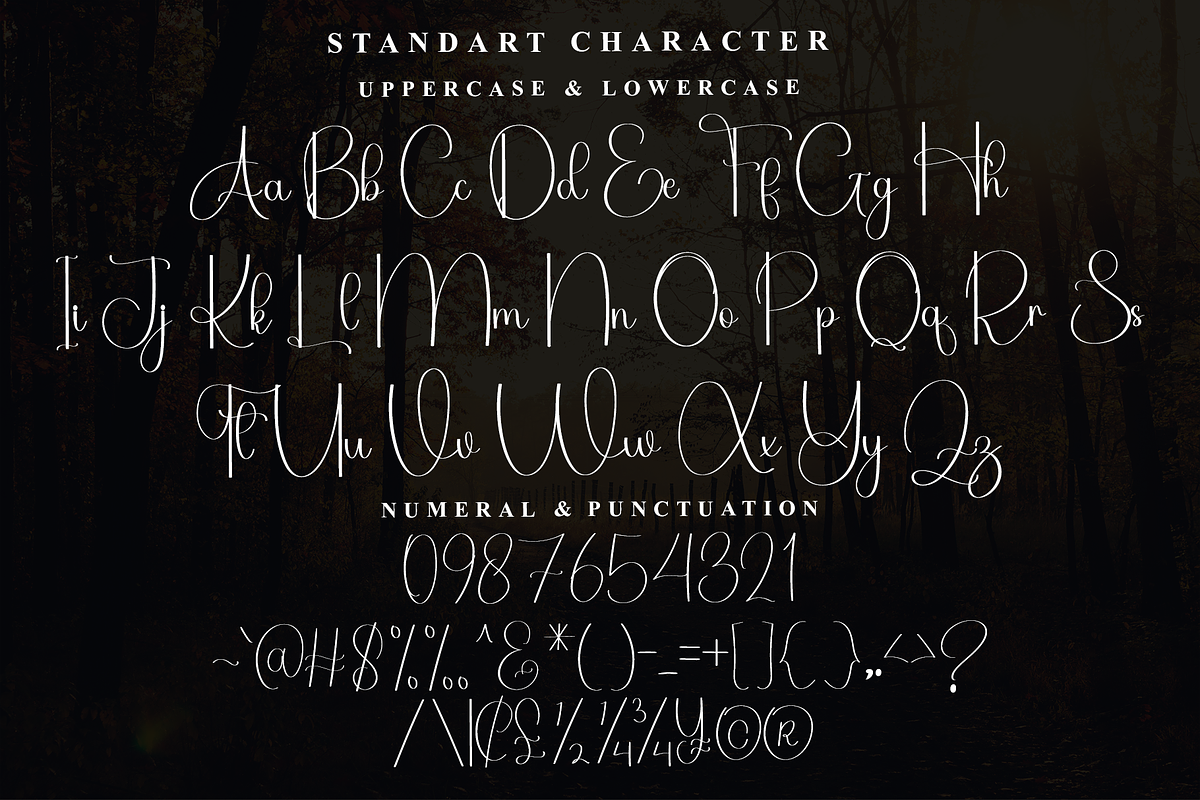 Always, a Handwritten Font by InermediaSTUDIO (Photo 5 of 7)