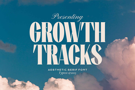 Growth Tracks - Aesthetic Serif Font