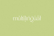 Mango Garden - Elegant Serif, a Serif Font by Misha Sova (Thumbnail 11 of 11)