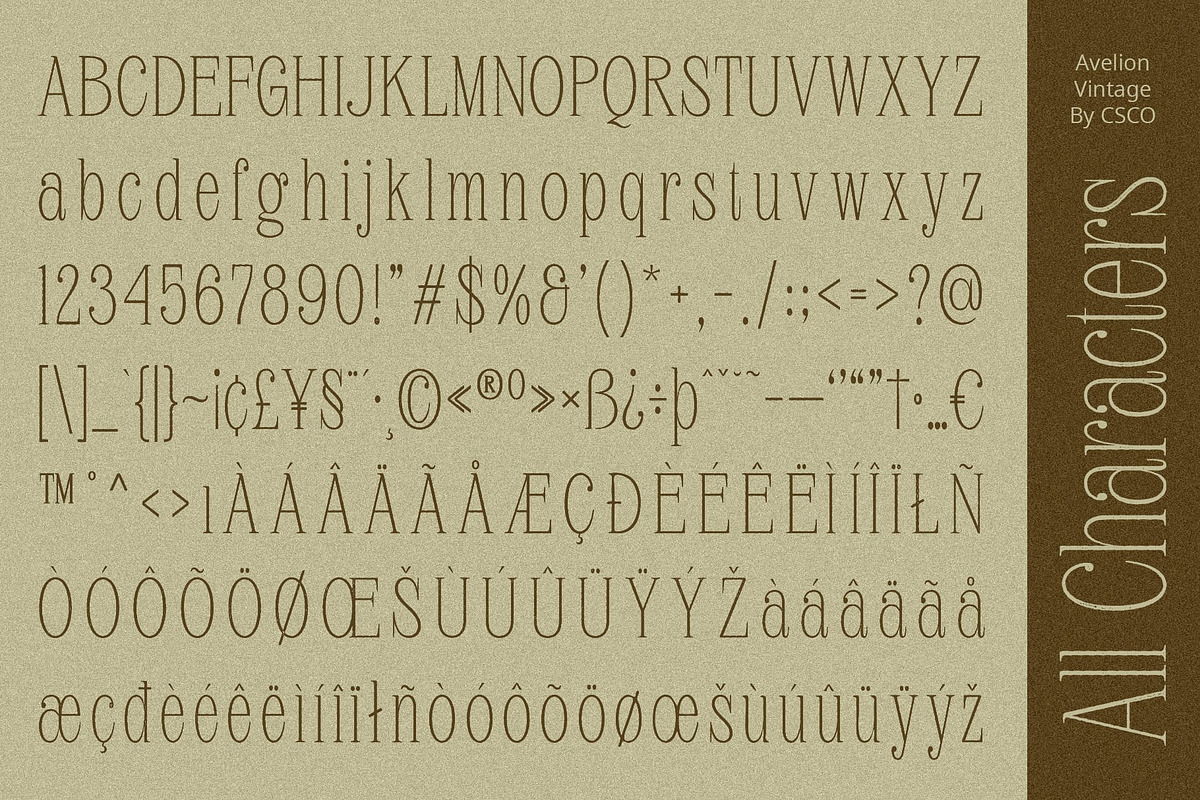 Avelion Vintage, a Serif Font by Craft Supply Co. (Photo 4 of 8)
