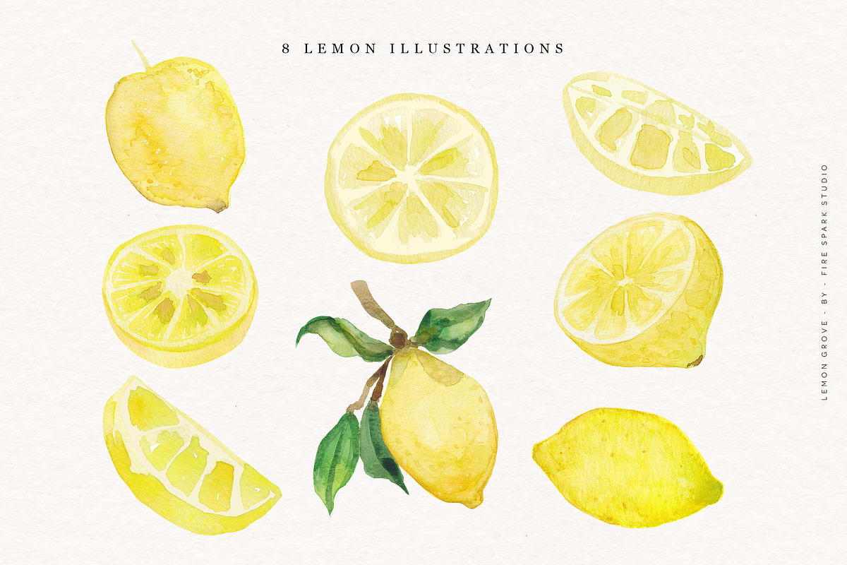 Lemon Grove Watercolor Illustrations, an Illustration by Fire Spark Studio (Photo 2 of 8)