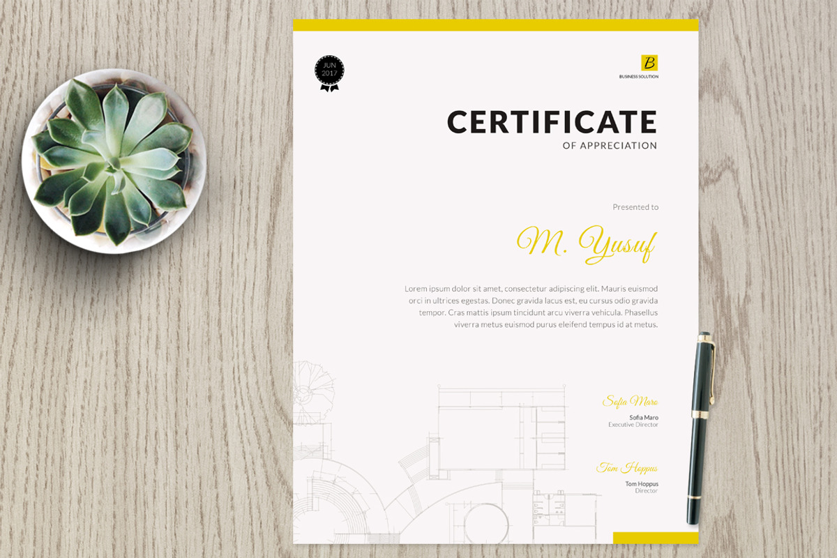 Certificate vm2, a Stationery Template by Kayytechin Shop (Photo 1 of 2)