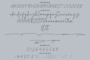 Betakra Monoline Script Font, a Script Font by NTC Graphic (Thumbnail 8 of 9)