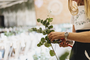 Florist cutting foliage, a Business Photo by René Jordaan Photography