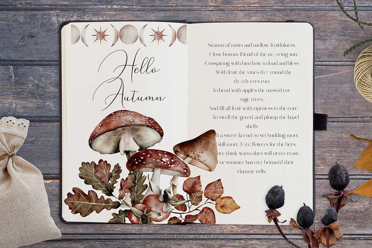 Forest Illustrations Mystic Autumn, an Animal Illustration by Busy May Studio (Photo 5 of 20)