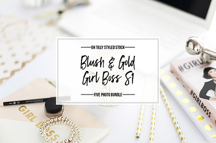 Blush & Gold Feminine Desktop S1