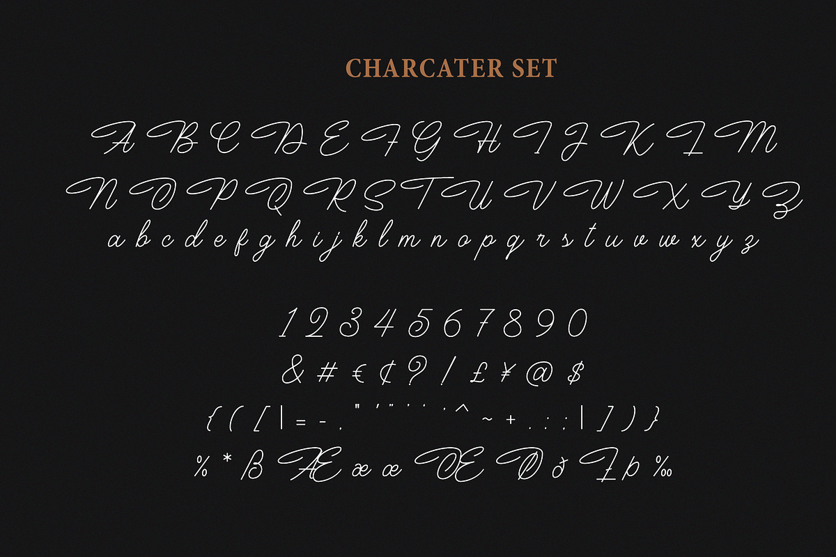 Houstoner Script + EXTRAS! (40%OFF) preview 2