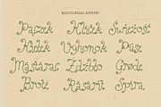 Perfect Sprouts | Whimsical Font, a Handwritten Font by type peace (Thumbnail 11 of 20)