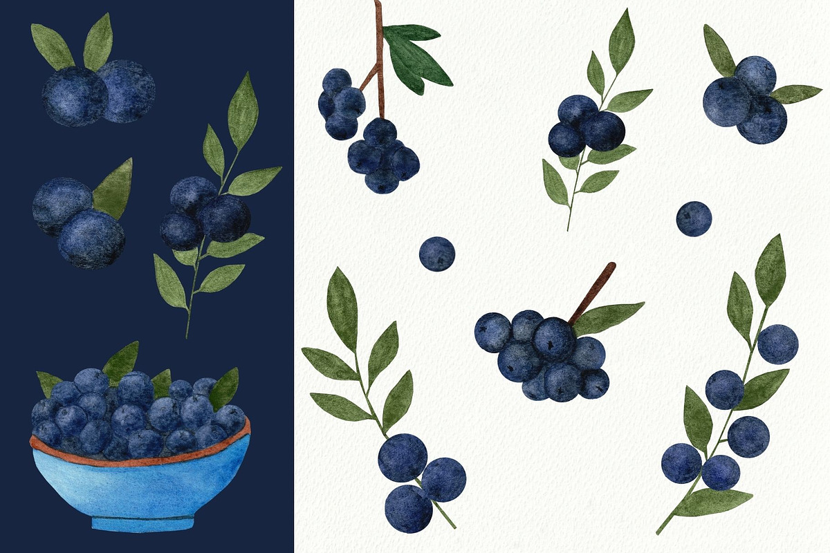 Blueberries watercolor clipart, a Food Illustration by Illustrations by Yuliia (Photo 3 of 4)