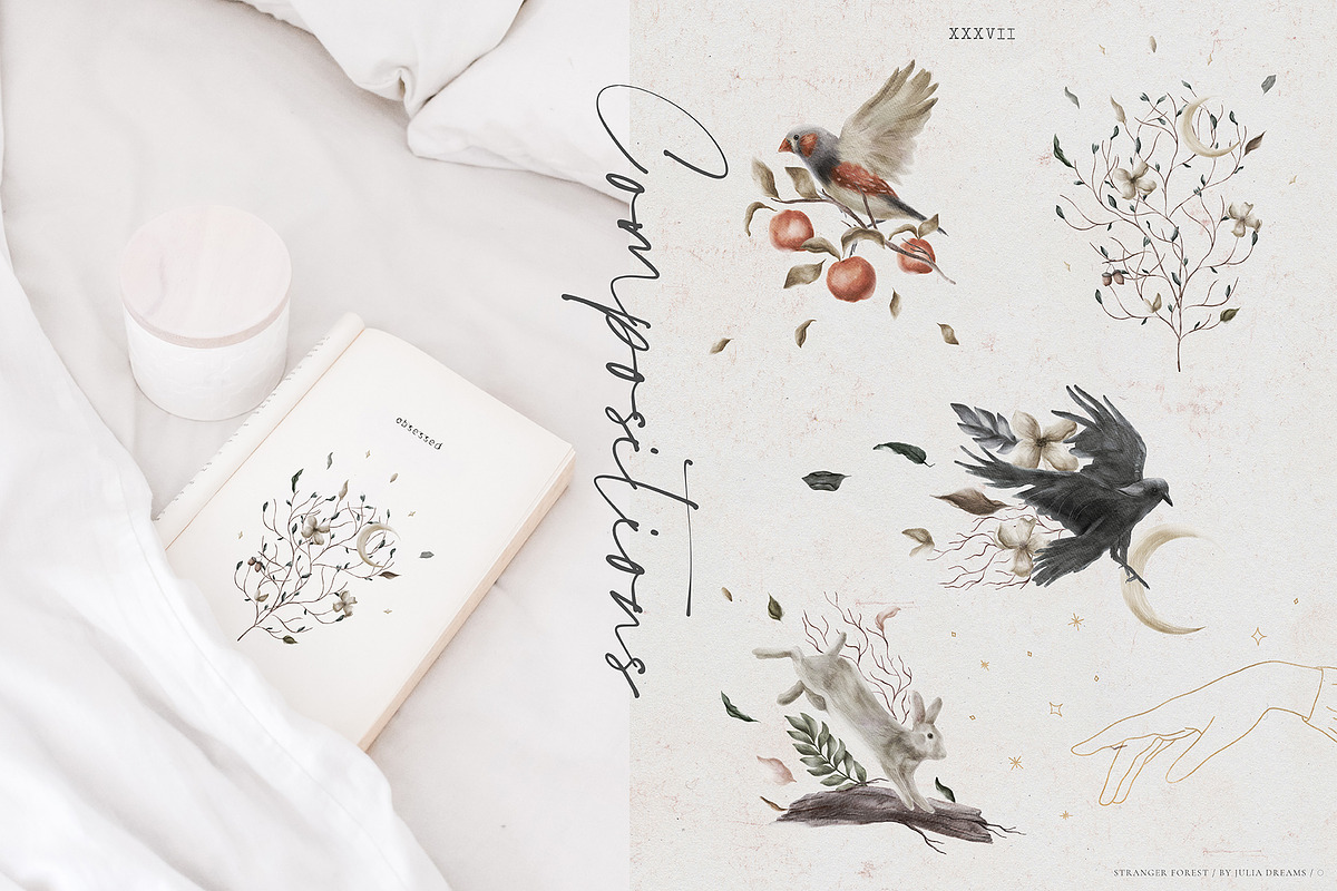 Stranger Forest Collection, an Animal Illustration by Julia Dreams (Photo 8 of 12)