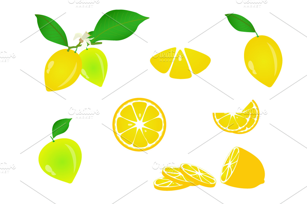 Fruits and vegetables (vector), an Object Graphic by pashigorov (Photo 5 of 8)