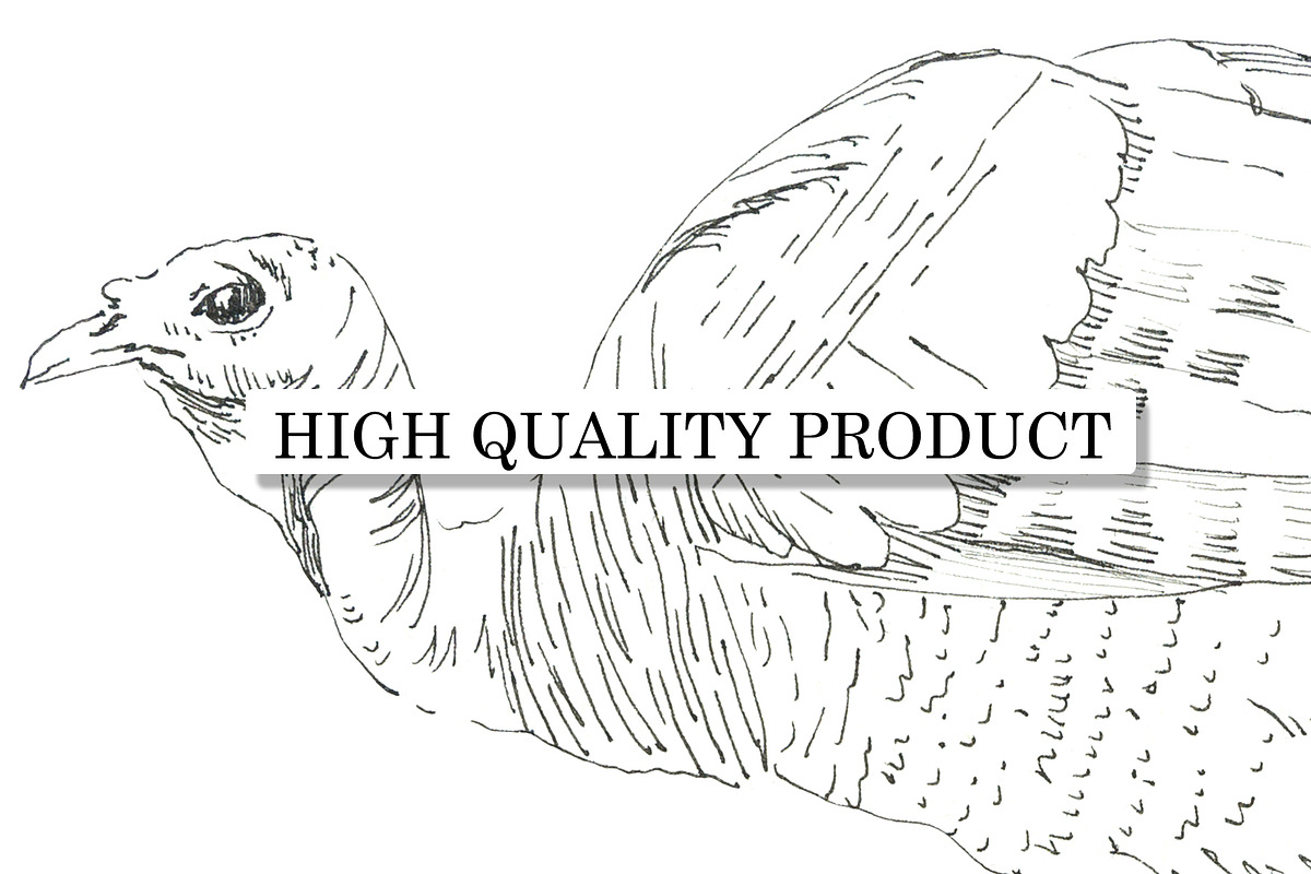 Graphic Farm Birds, an Object Graphic by Budogoshch (Photo 4 of 4)