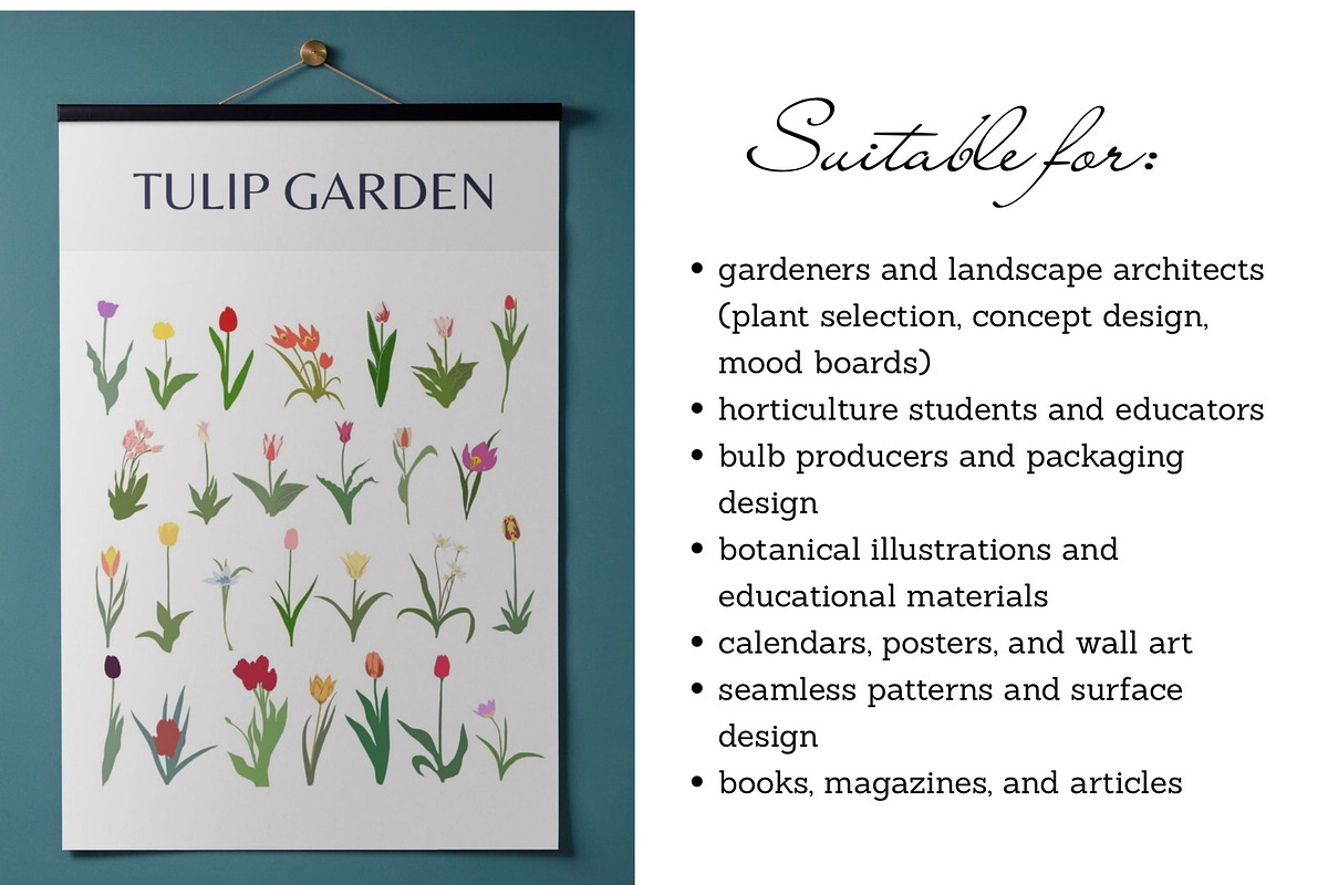 126 Tulip Varieties Flat Vectors, an Object Graphic by esylvia (Photo 4 of 5)