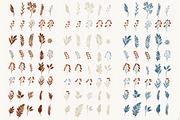 Winter Botany Set, a Decorative Illustration by Helga Wigandt (Thumbnail 7 of 10)