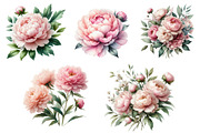 Watercolor Blush Peonies Flowers, an Illustration by CreationArt (Thumbnail 2 of 7)