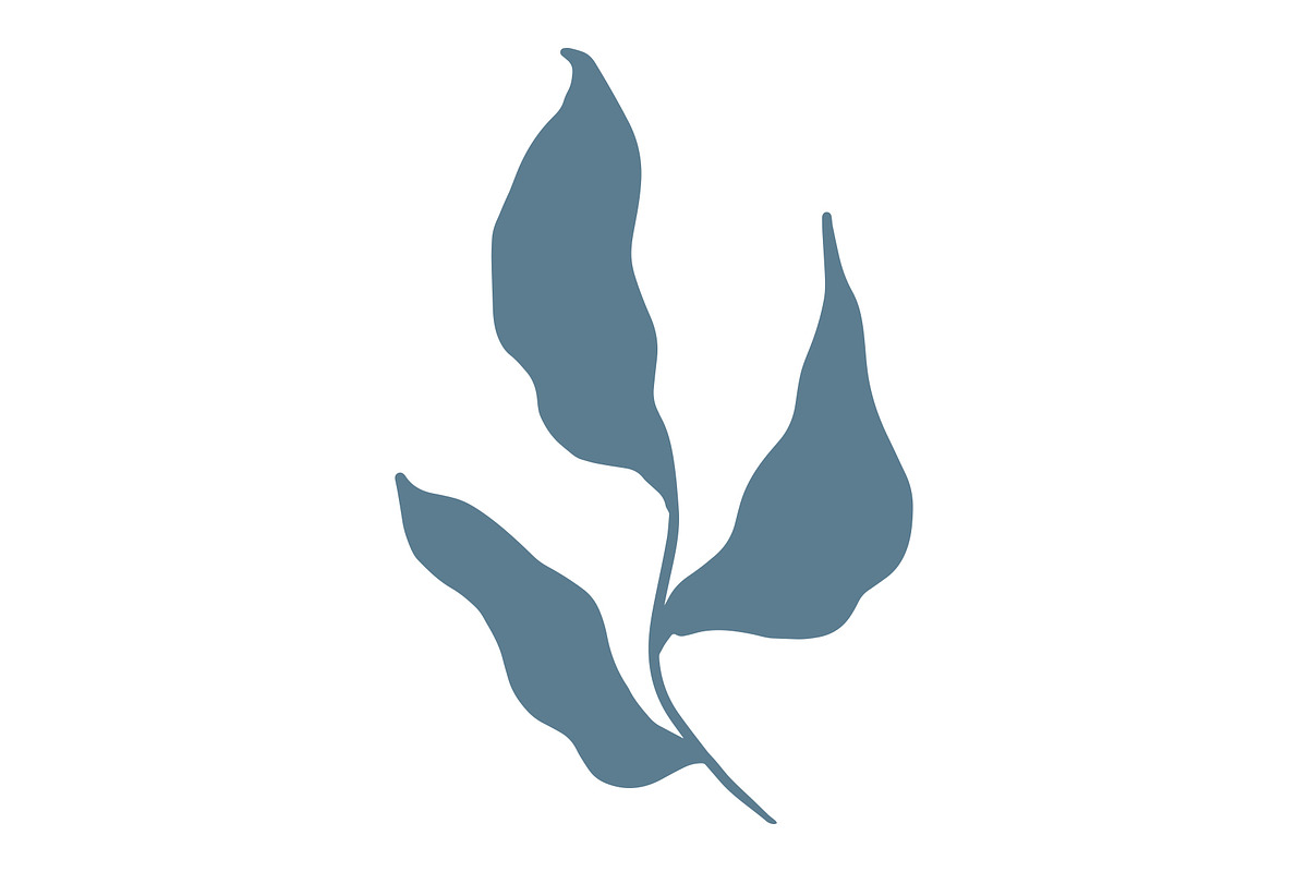 Vector Seaweed Graphics, a Background Graphic by Dorey Kronick Art&Design (Photo 8 of 9)