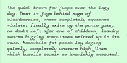 FeggoliteMono, a Slab Serif Font by Ingrimayne Type (Thumbnail 5 of 14)