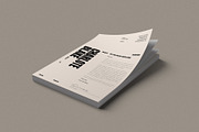 Professional CV, Resume Template, a Resume Template by DesignCrest (Thumbnail 9 of 9)
