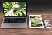 GREEN TROPICAL PLANTS, a Nature Photo by Beach Babe Stock (Thumbnail 4 of 6)