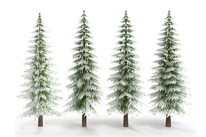 Canadian Spruce Tree Snow V1