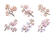 Watercolor Minimal Thin Floral, a Decorative Illustration by ForhadGFX (Thumbnail 10 of 12)