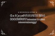 Orchard Song - Decorative Serif, a Serif Font by Typefactoryco (Thumbnail 4 of 9)
