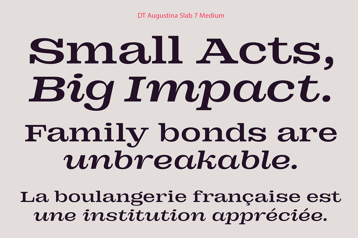 DT Augustina Slab 7 Subfamily, a Slab Serif Font by Deveze Type Foundry (Photo 9 of 31)