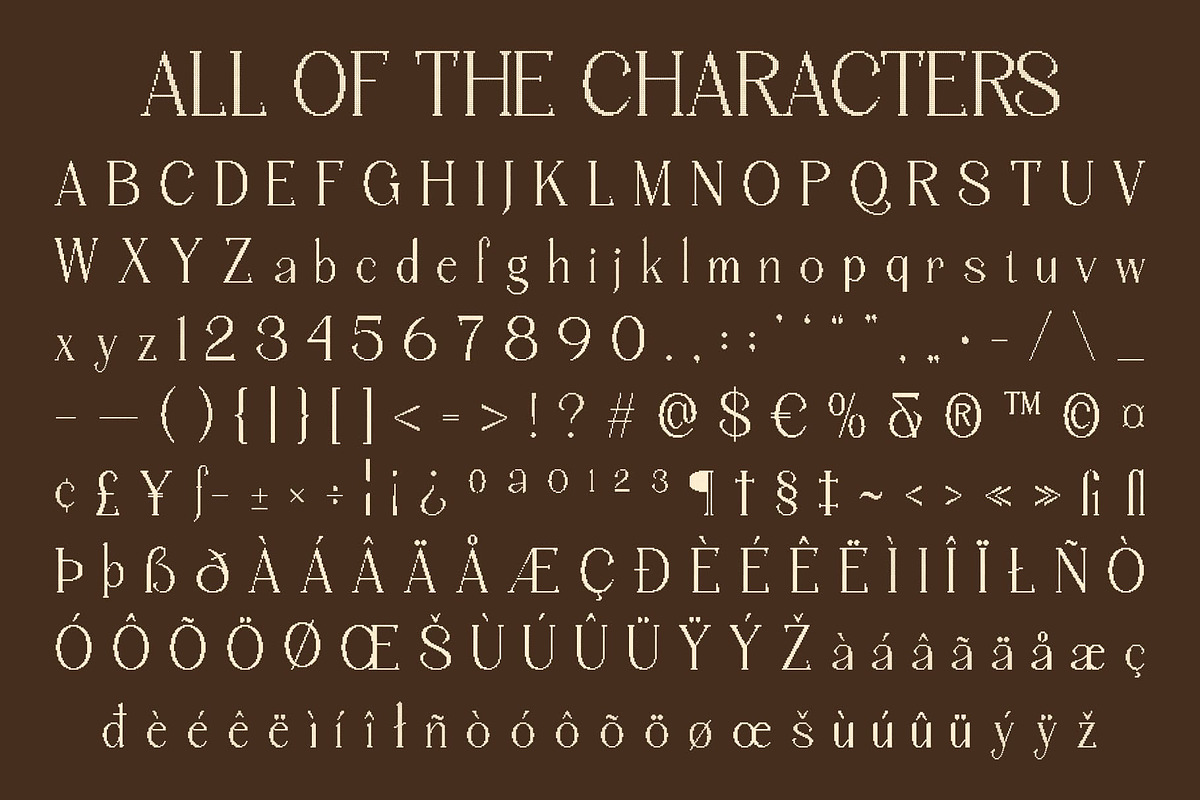 Chavler Disco, a Serif Font by Craft Supply Co. (Photo 8 of 8)