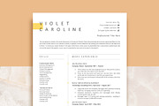 Professional Resume Template Word, a Resume Template by VictoriousVita (Thumbnail 1 of 8)