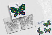 Butterflies with floral ornaments, a Brushes & More by dnapslvsk (Thumbnail 4 of 5)