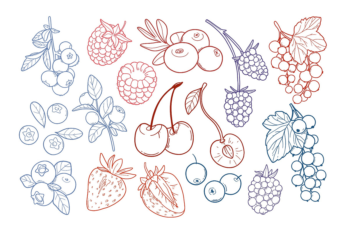Berry Clipart SVG PNG,Fruit Patterns, a Food Illustration by ArtGiftsStudio (Photo 3 of 5)