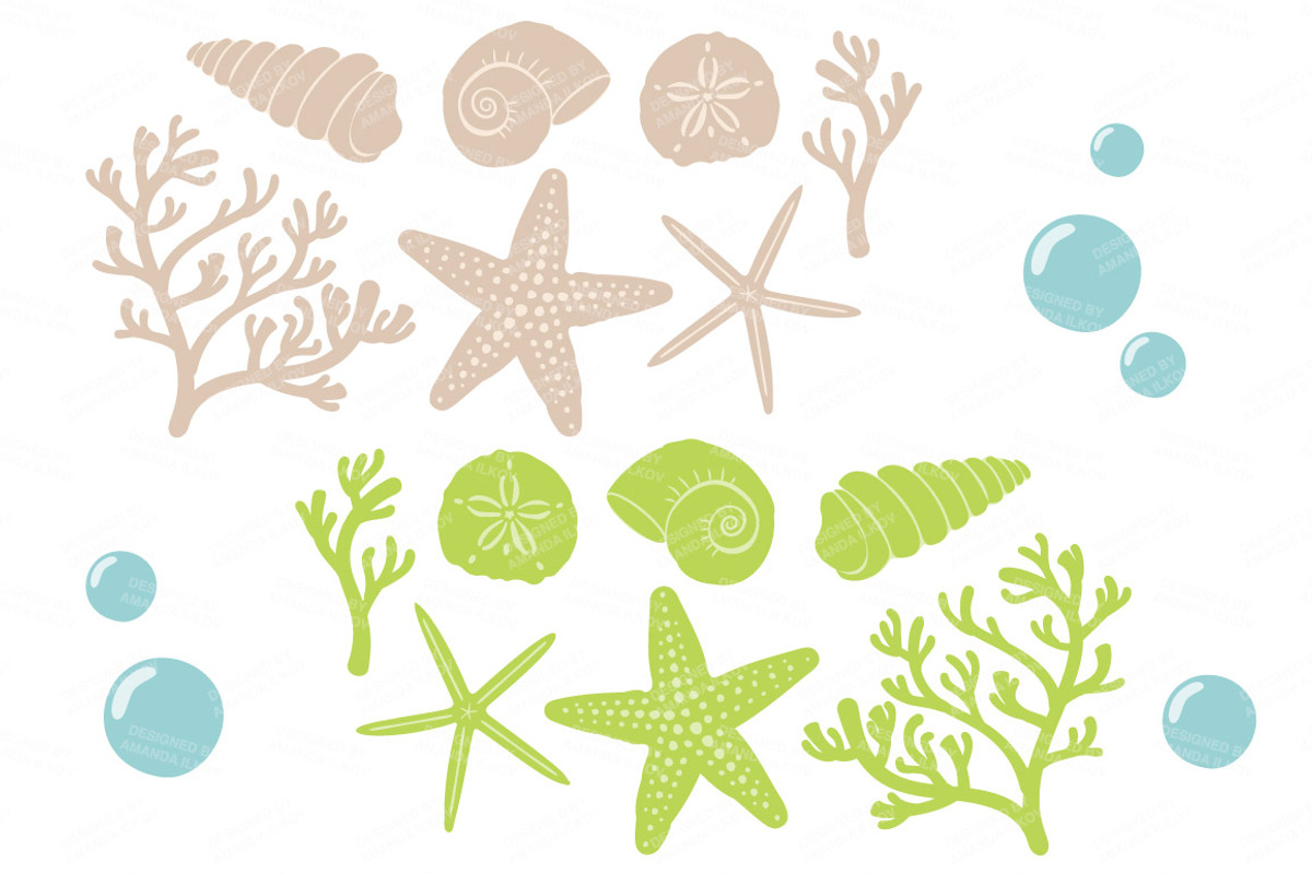 Fresh Vector Seashells, an Illustration by Amanda Ilkov (Photo 5 of 5)