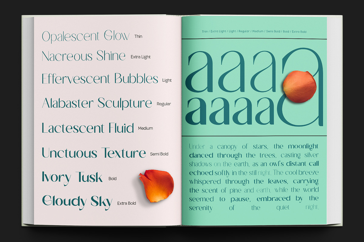 TBJ Milky – 8 Styles Boldly Sans, a Sans Serif Font by Taboja Studio (Photo 2 of 18)