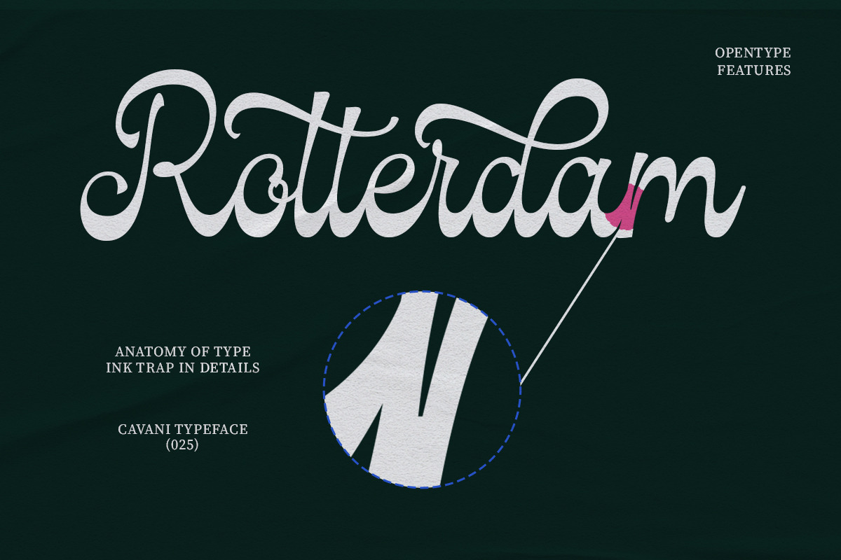 Cavani, a Script Font by Soft Creative (Photo 11 of 13)