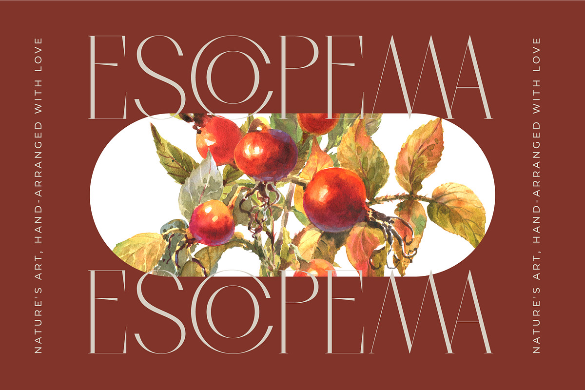 Qasnors Modern Display Serif, a Serif Font by timelesstype.co (Photo 16 of 20)