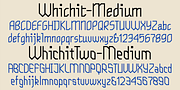 WhichIt, a Sans Serif Font by Ingrimayne Type (Thumbnail 5 of 8)