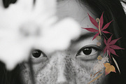 Oshibana Dried & Pressed Fall Leaves, an Object Graphic by Lana Elanor (Thumbnail 6 of 17)